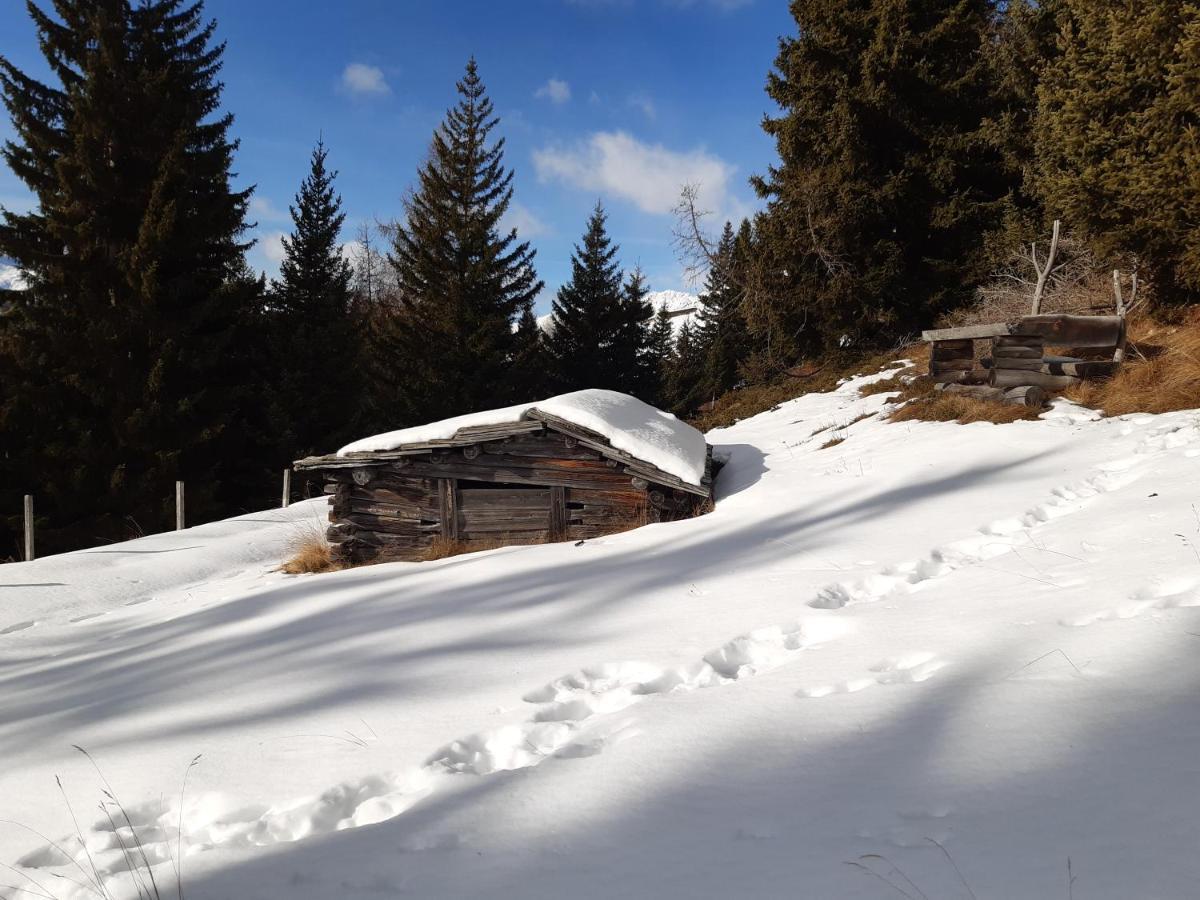 Appartement Gsaller Hopfgarten in Defereggen Екстериор снимка
